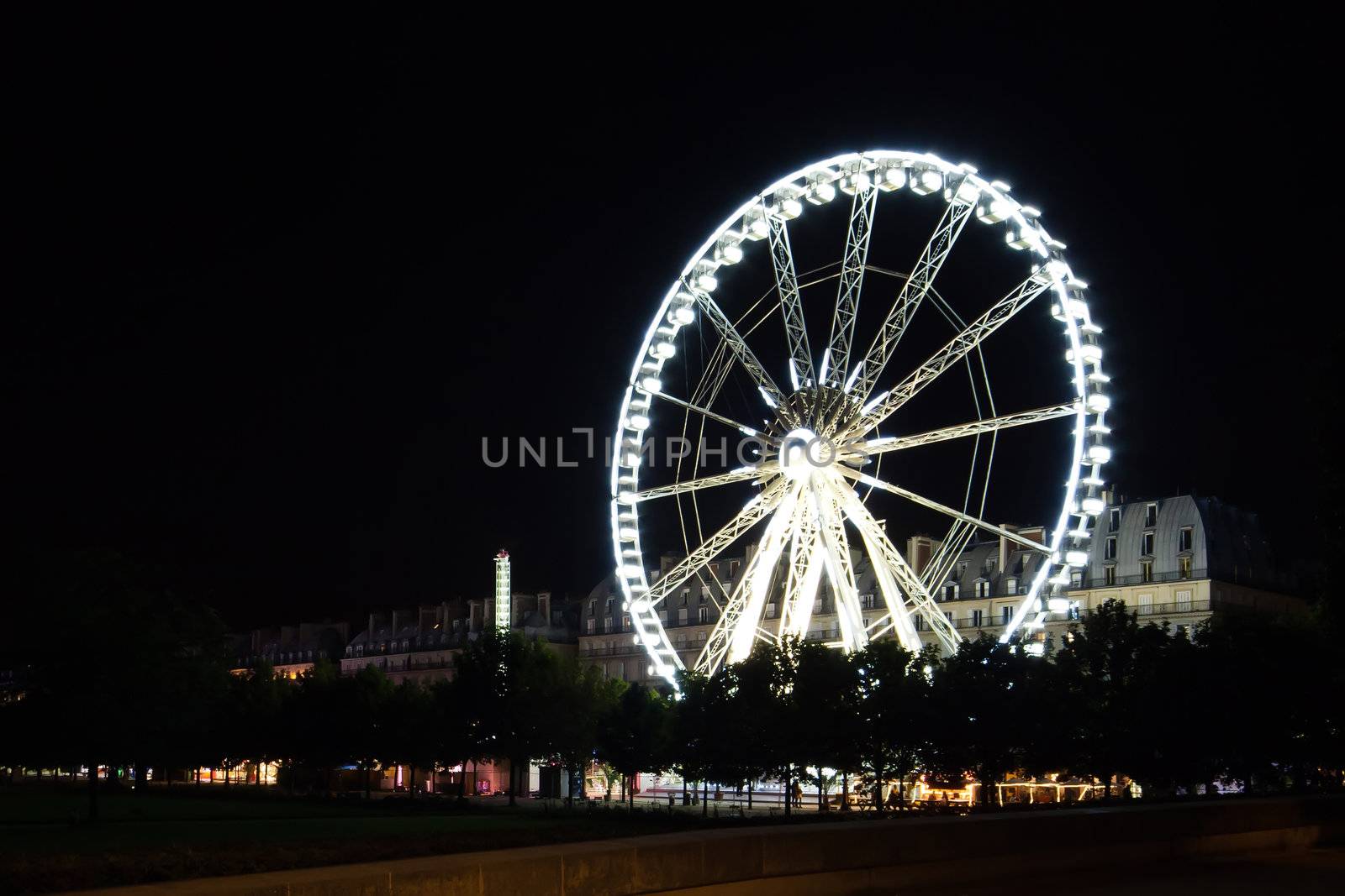 Ferris Wheel of Paris at night