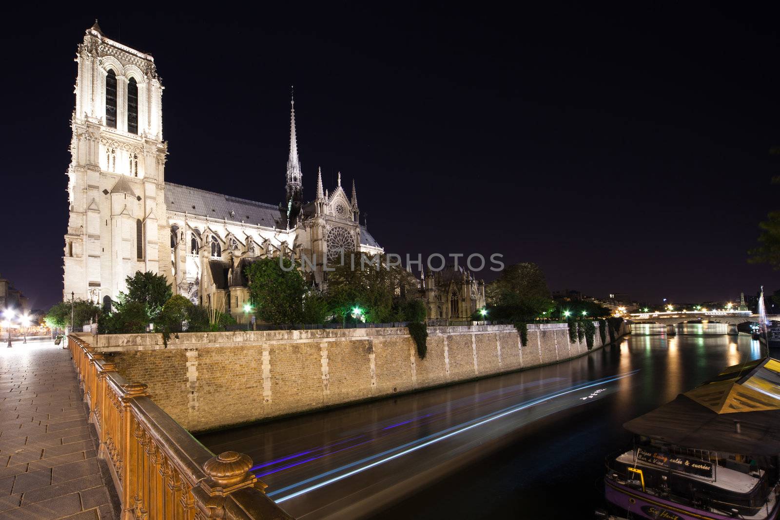 Notre Dame Cathedral at night. Paris, France by furzyk73