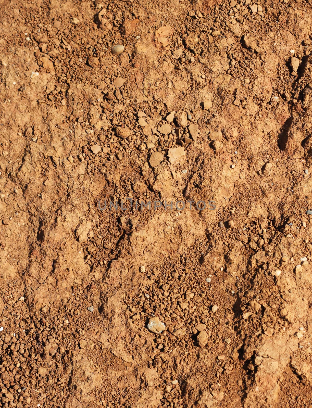 Dry agricultural brown soil detail natural background