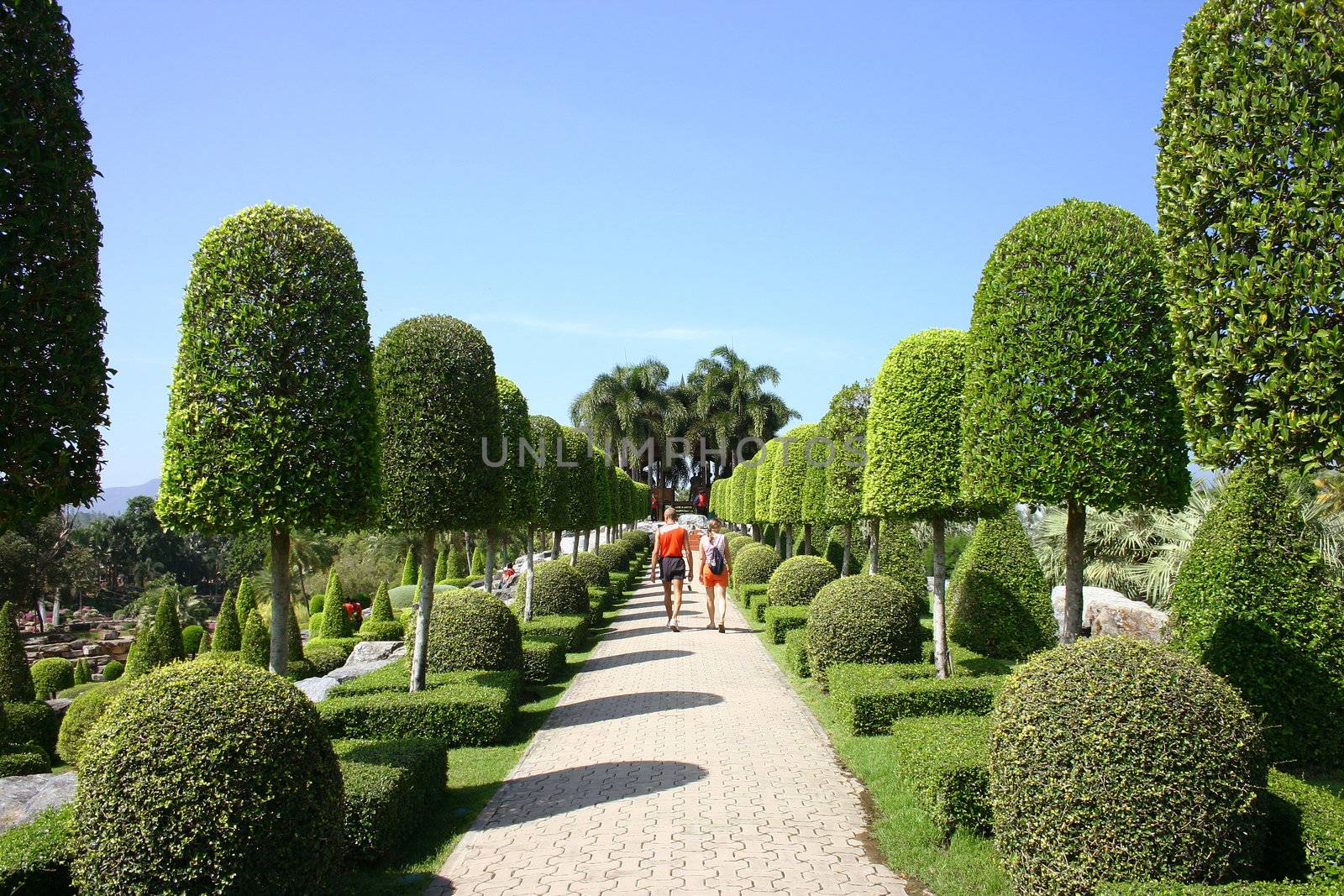 Tropical Garden, Thailand