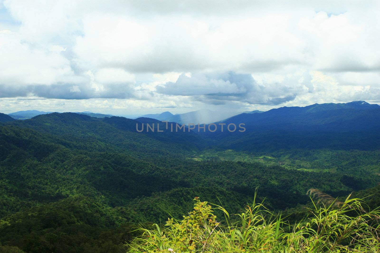 Tropical Mountains