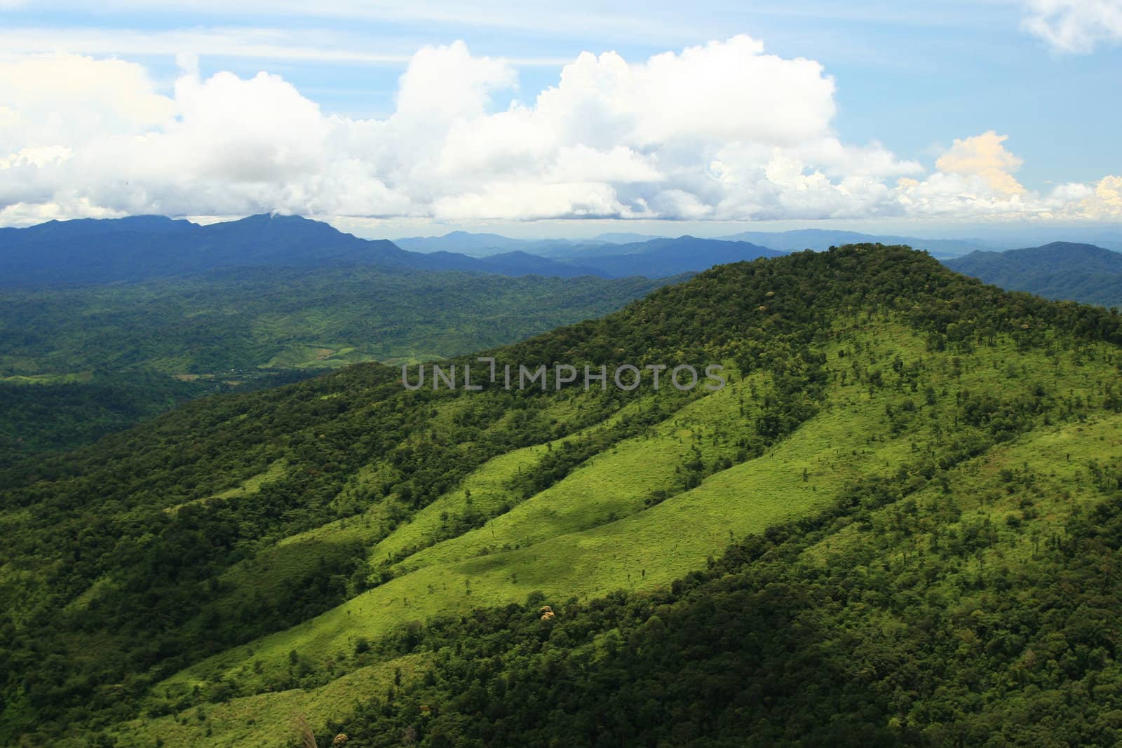 Tropical Mountains