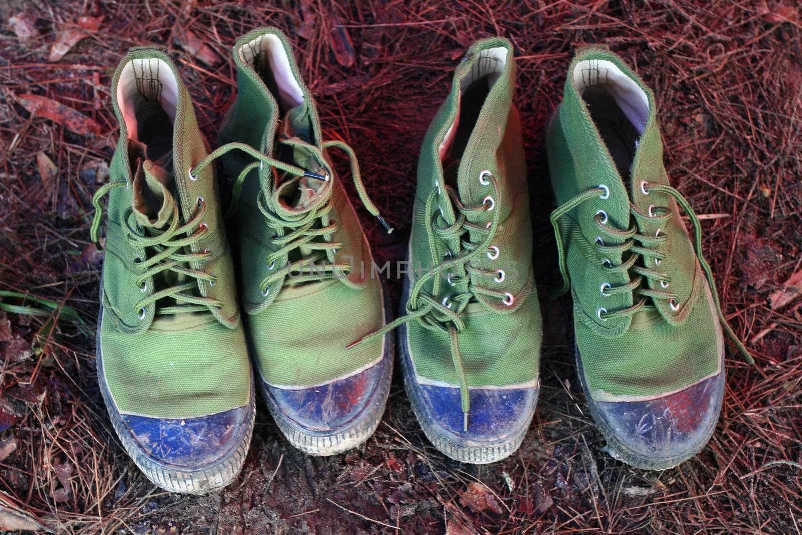 Hiking Boots