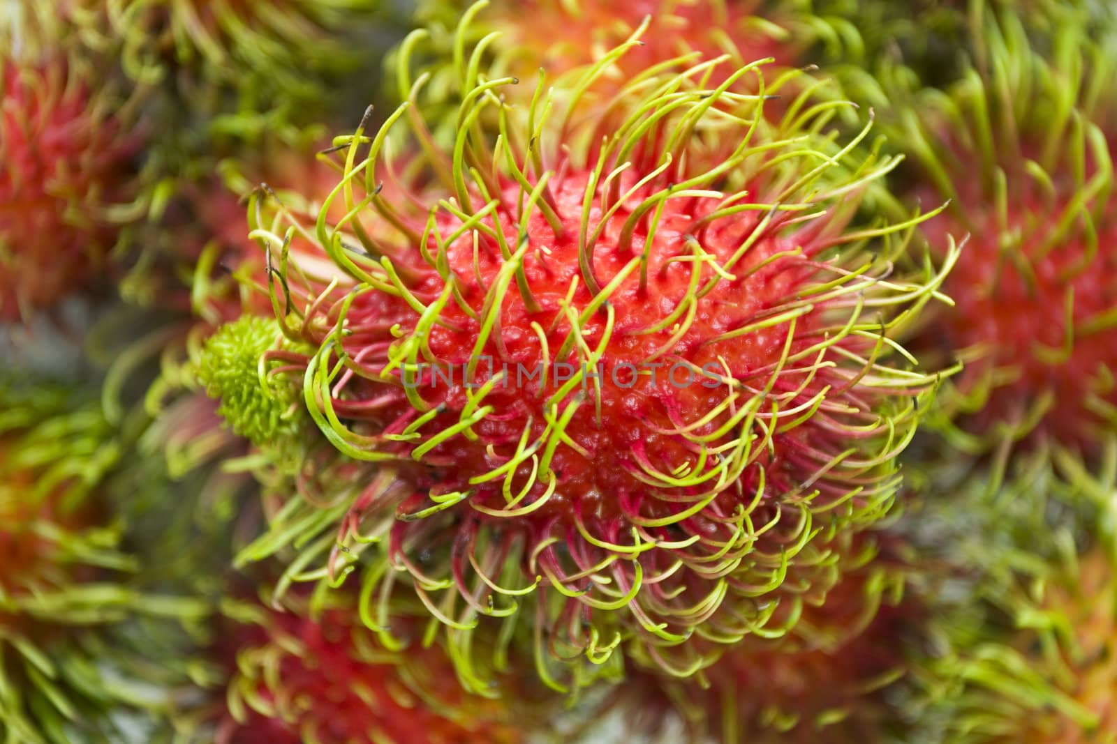 Thai Rambutans