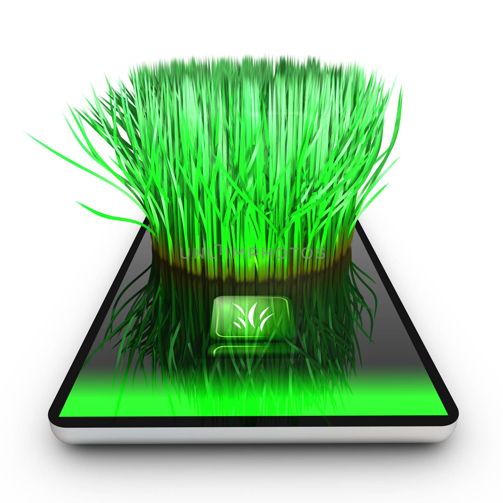 A smartphone application is growing grass. Ecological concept.