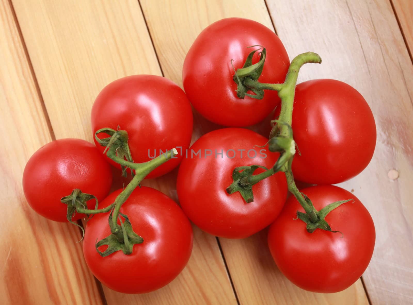 Tomatoes on the branches