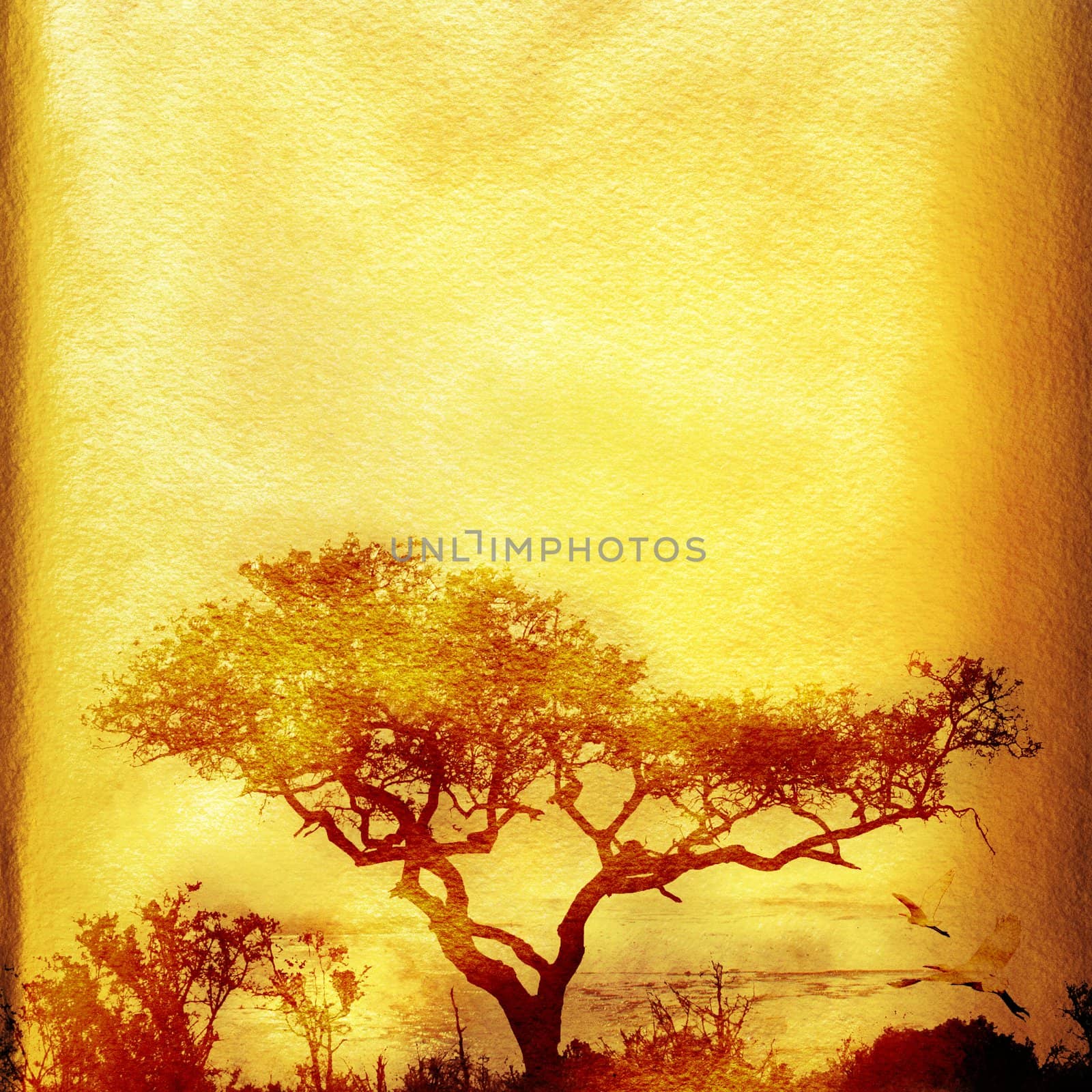 Textured grunge African paper background with tree and copy space.