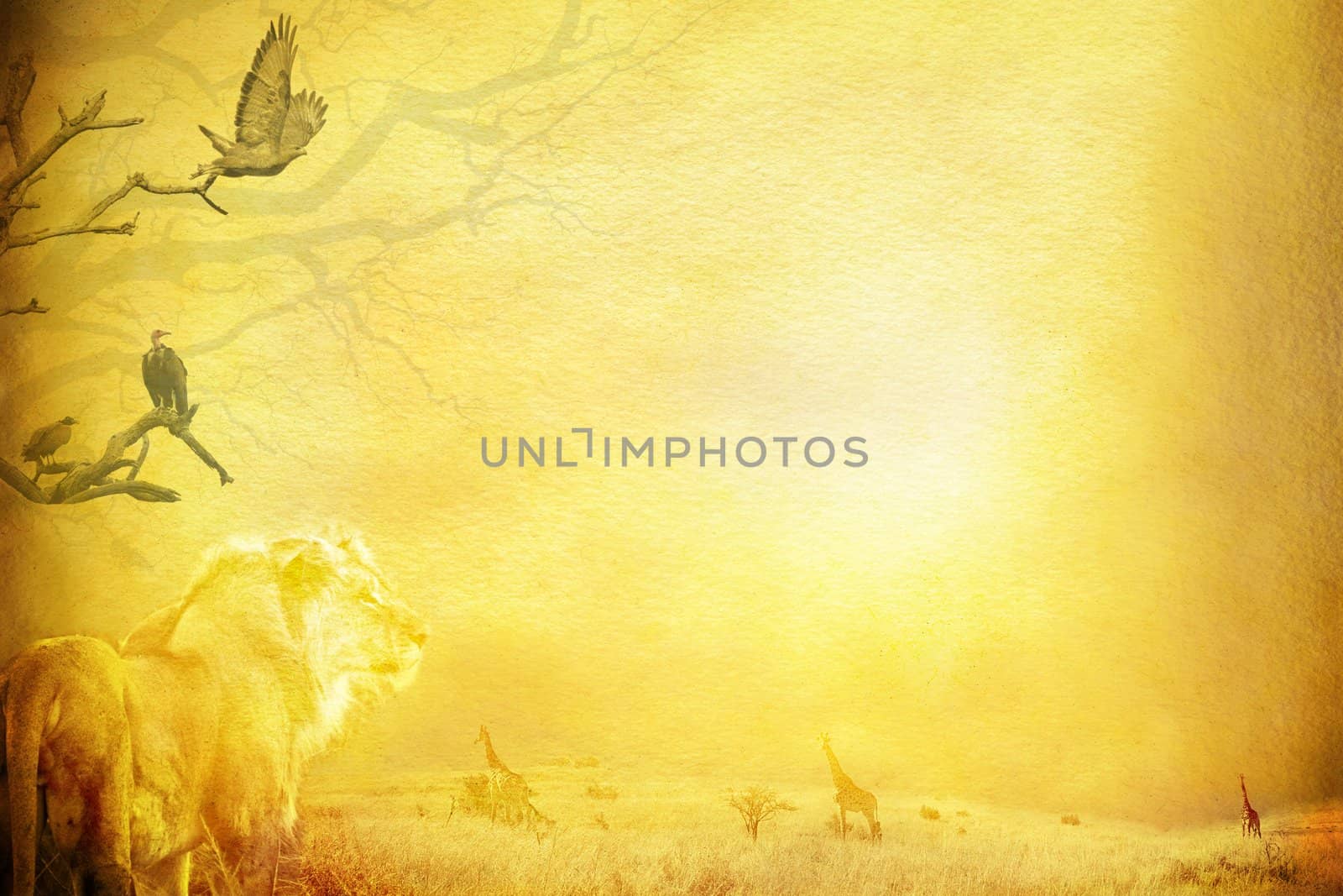 Out of Africa grunge background. by karelnoppe