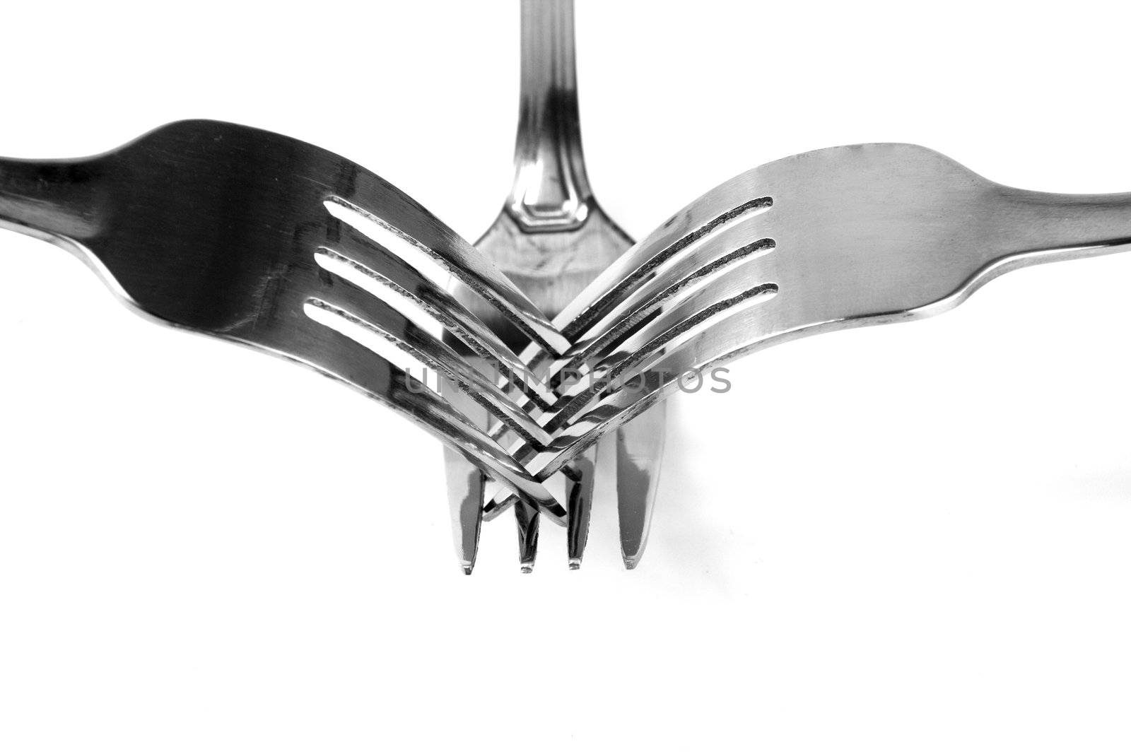 Shiny stainless steel forks on a white background