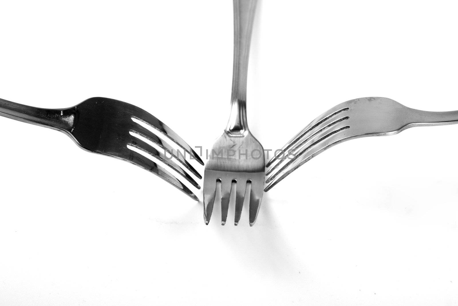 Steel Forks by Vladimir