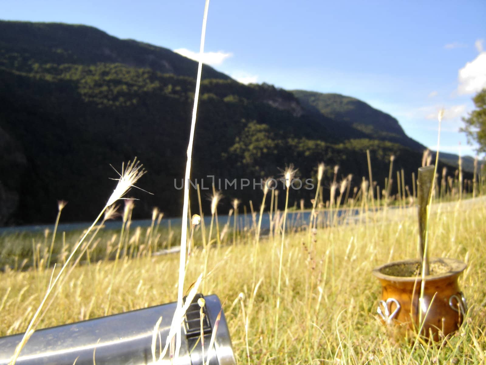 Patagonia. Argentina. Mate tee.