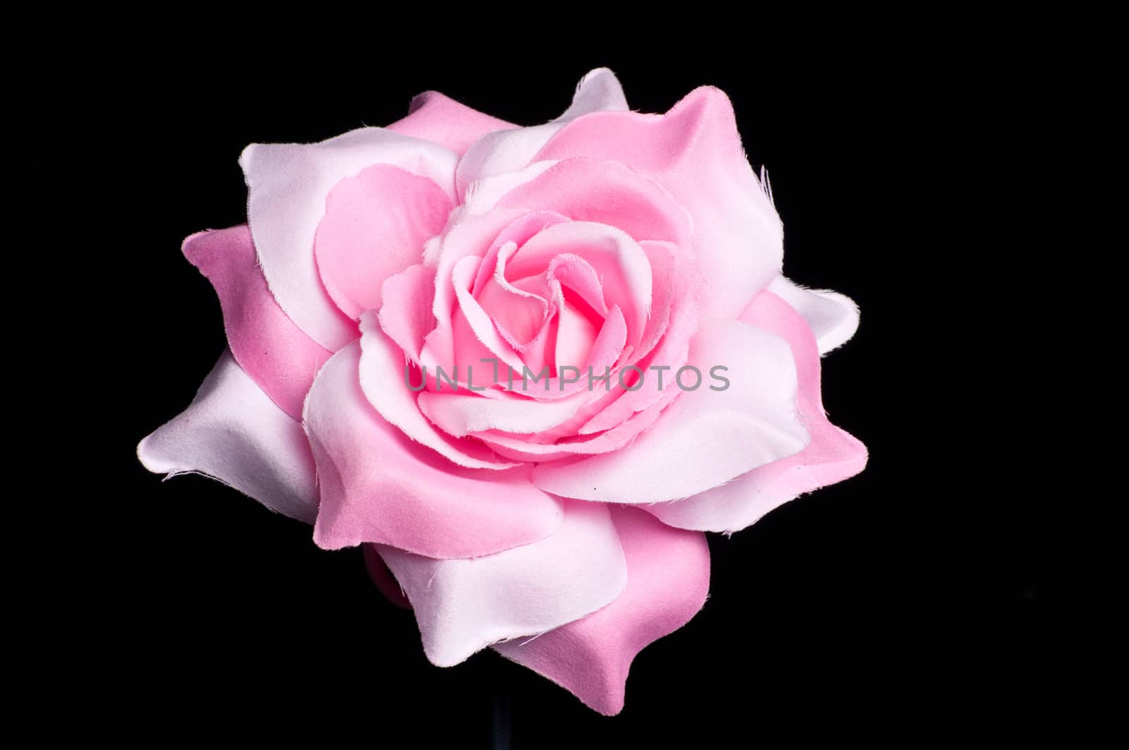  A flower hair clip for women on isolated white background.
 by Shane9