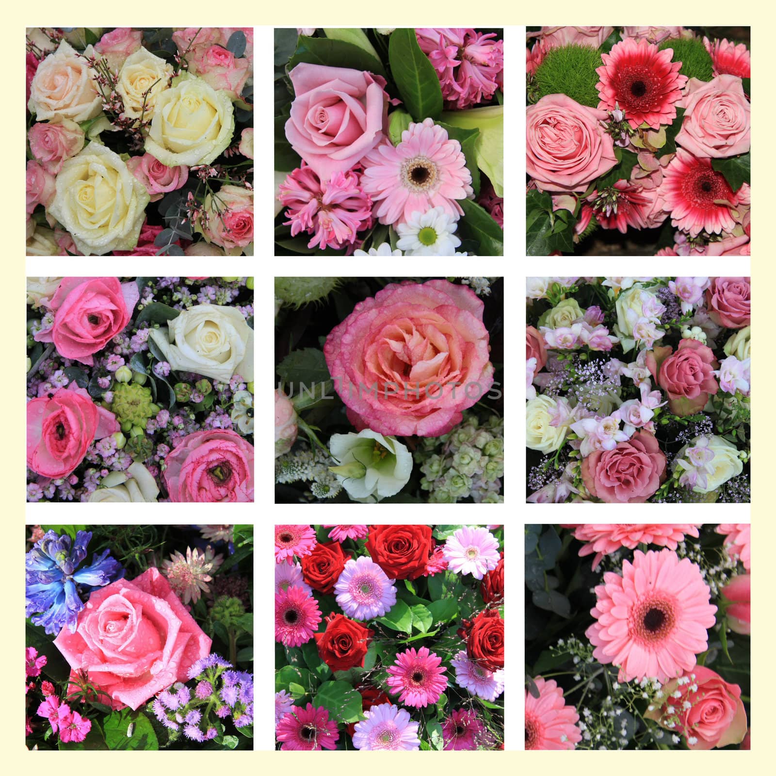 mixed pink flower collage by studioportosabbia
