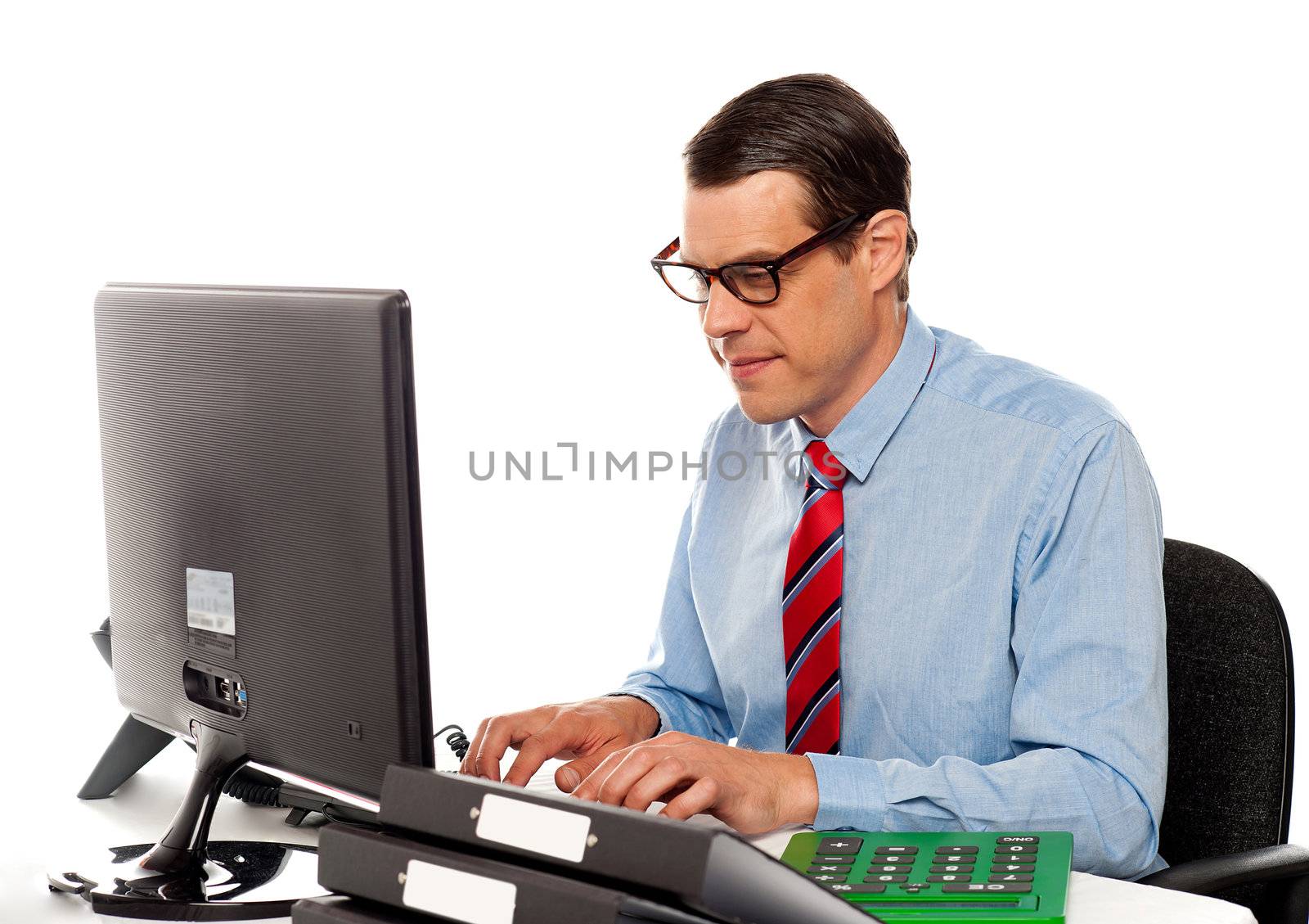 Portrait of an accountant working on computer in office