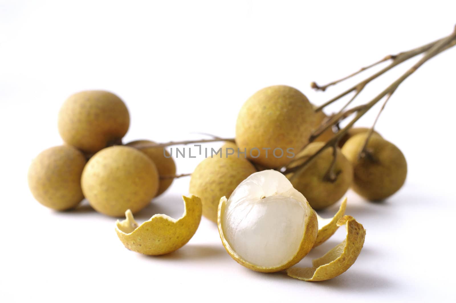 Fresh longan on the white background 