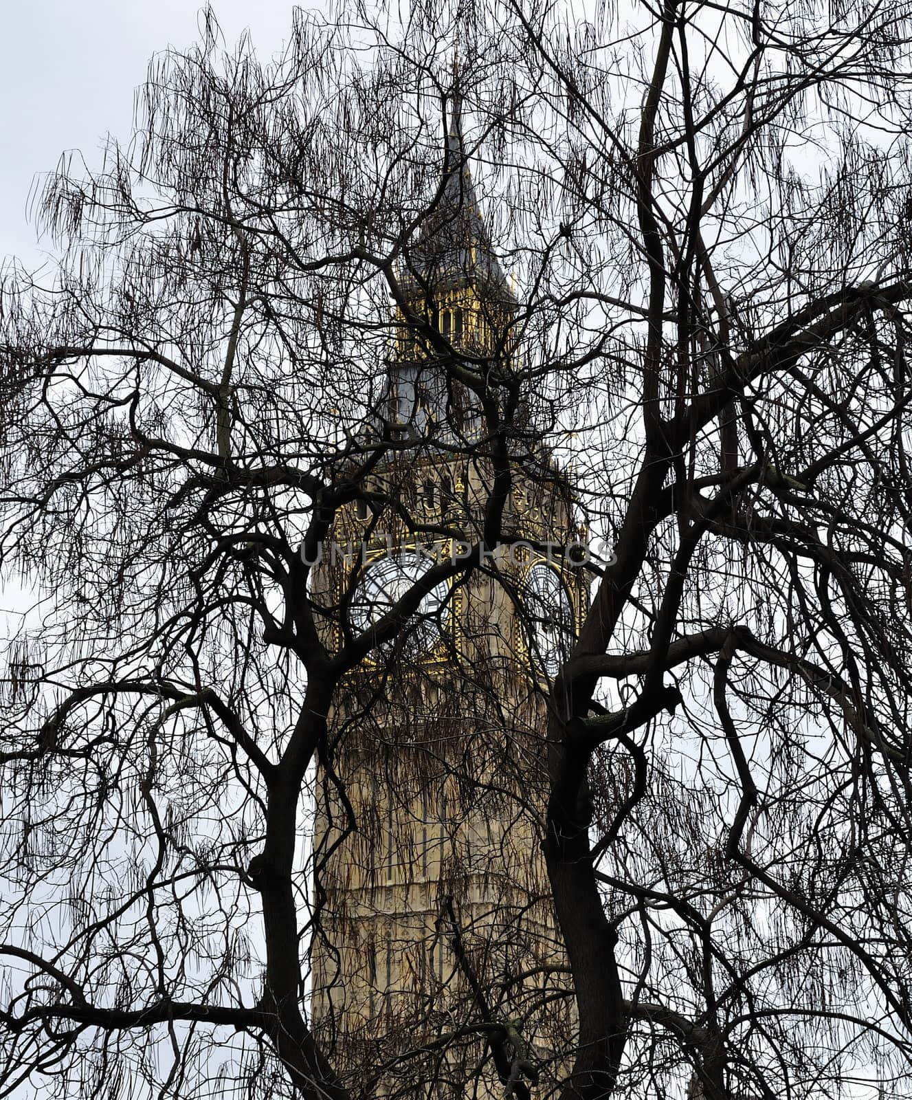 Big Ben trying to hide behind a tree, art. Concept photo. 