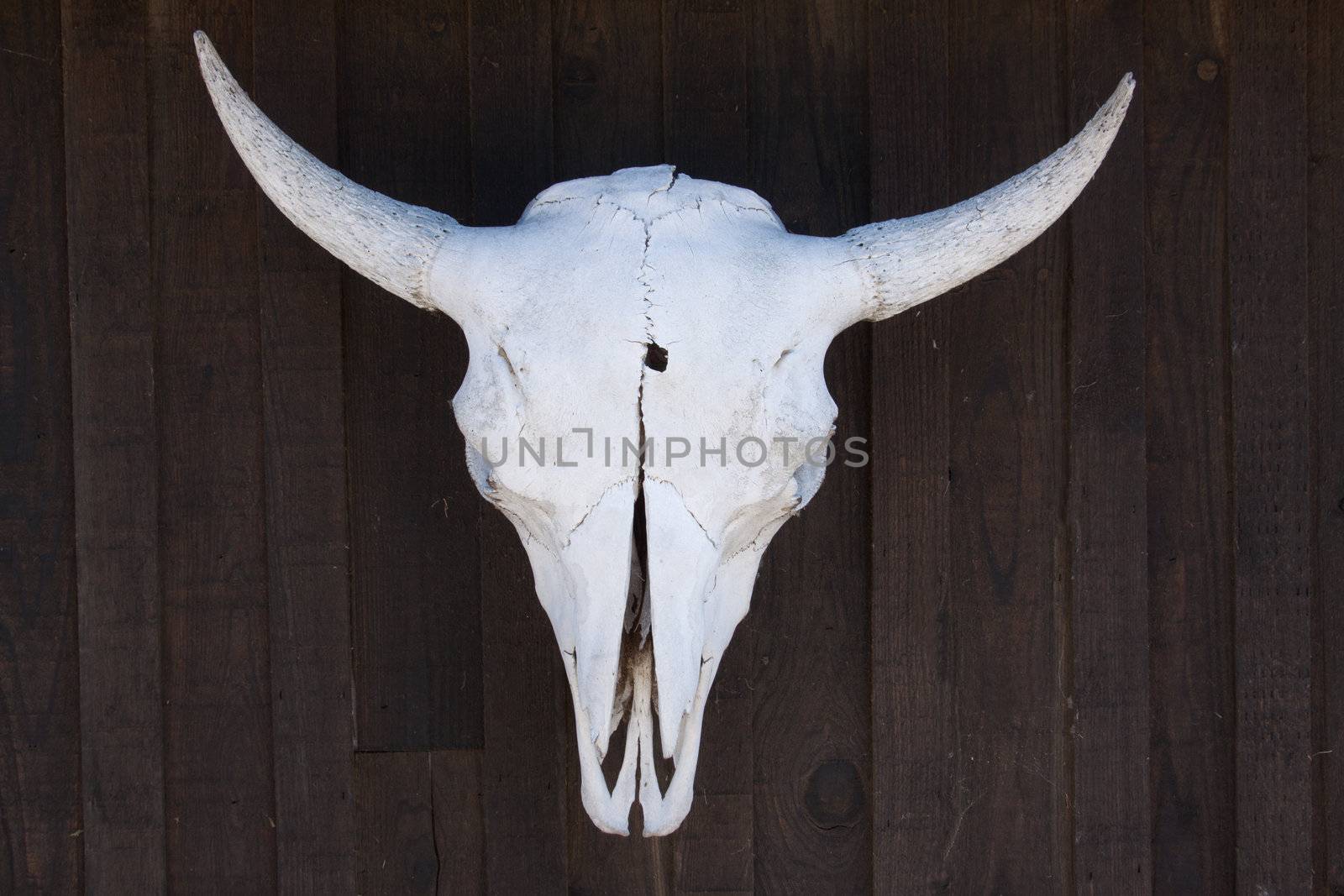 A steer skull with a bullet hole through it.  could even represent drought in the old west.