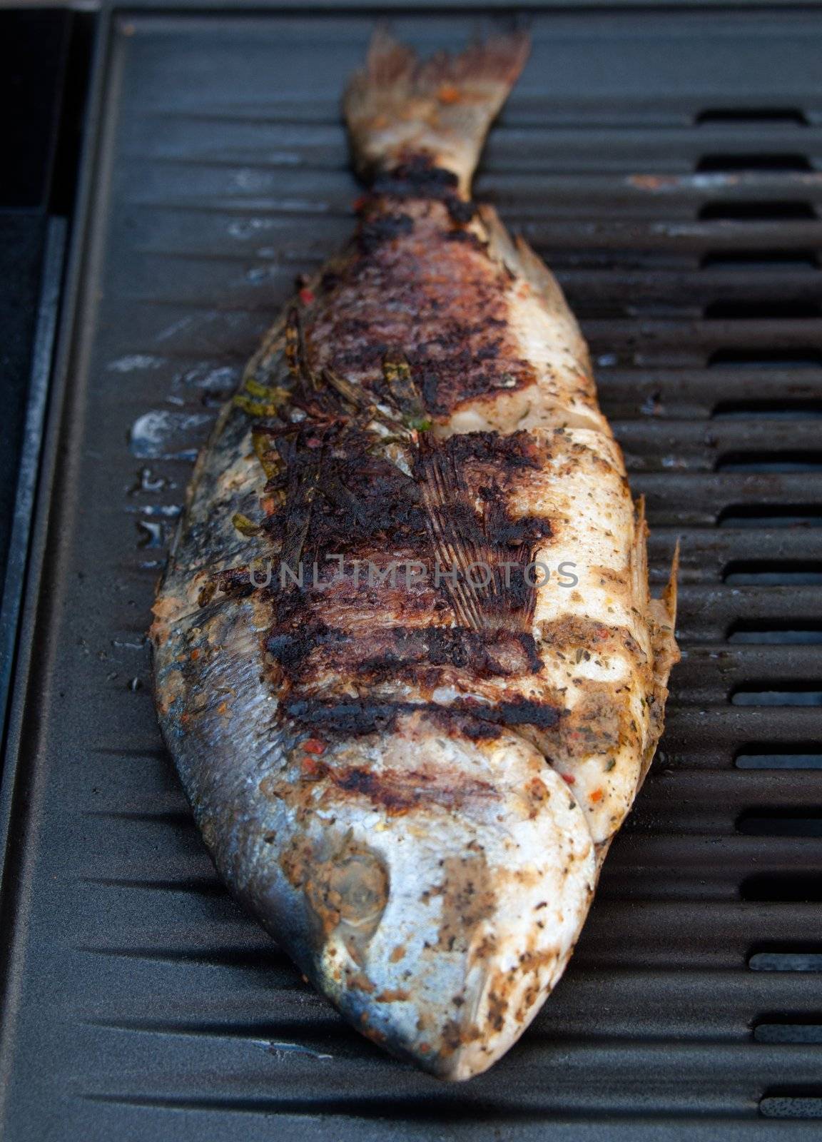 Gilthead seabream nicely marinated and ready for barbecue