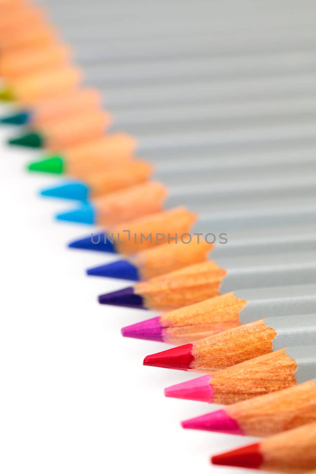 Multicolored Pencil, Arrangement in Row over white