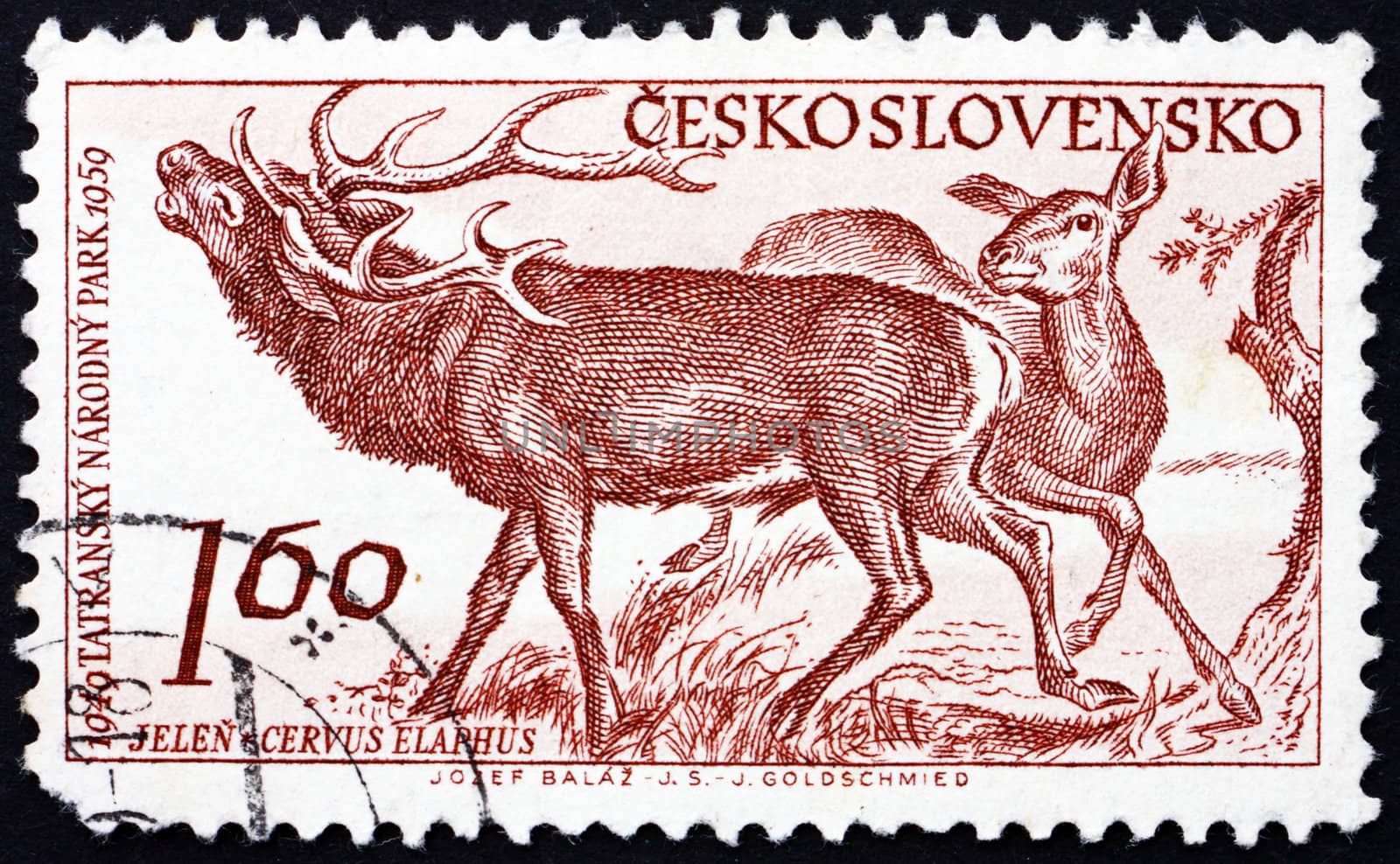 CZECHOSLOVAKIA - CIRCA 1959: a stamp printed in the Czechoslovakia shows Red Deer, Cervus Elaphus,  10th Anniversary of Tatra National Park, circa 1959