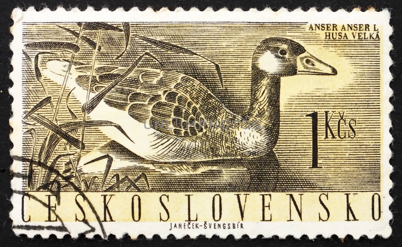 Postage stamp Czechoslovakia 1960 Greylag Goose, Anser Anser by Boris15