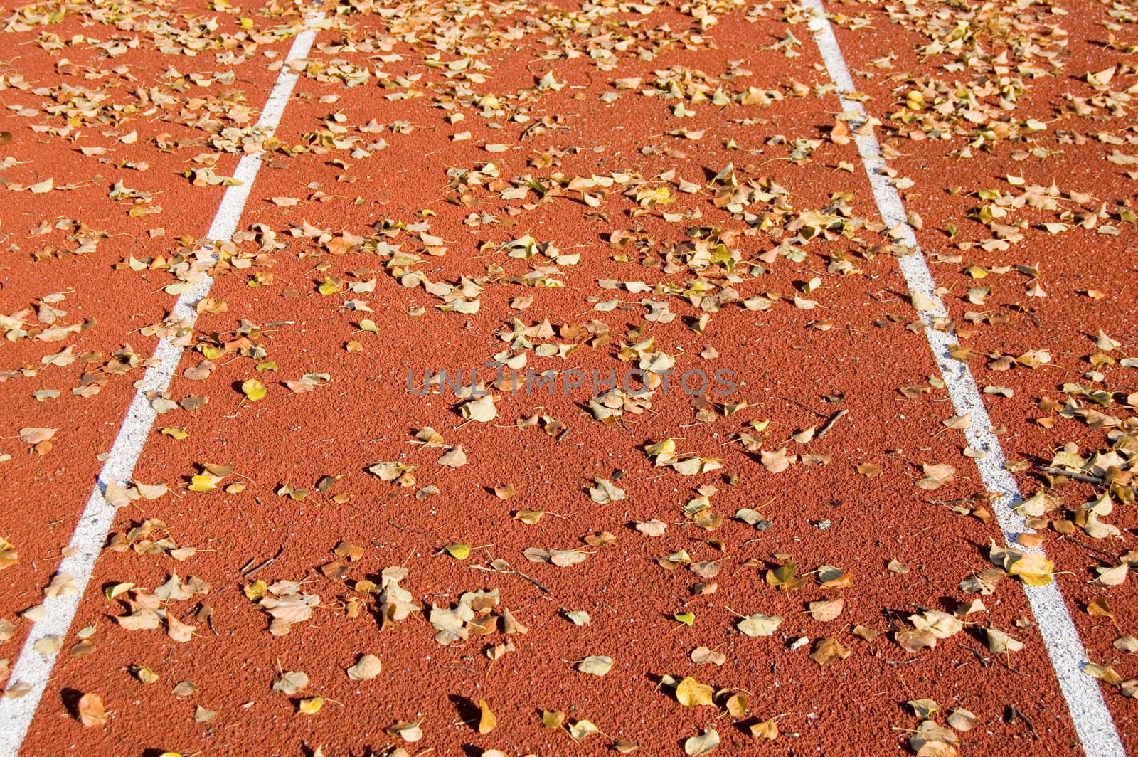 Running track