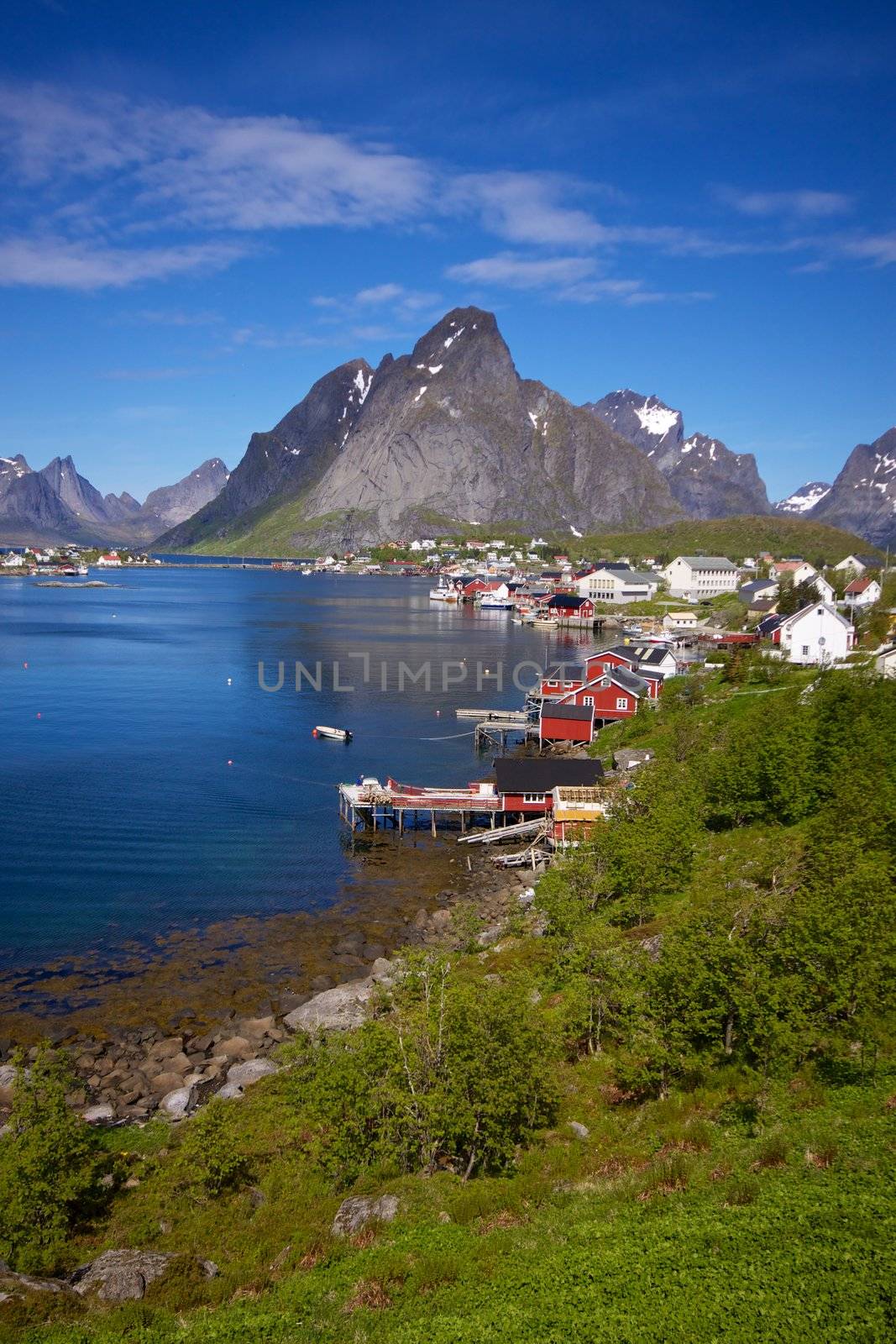 Picturesque town of Reine by Harvepino
