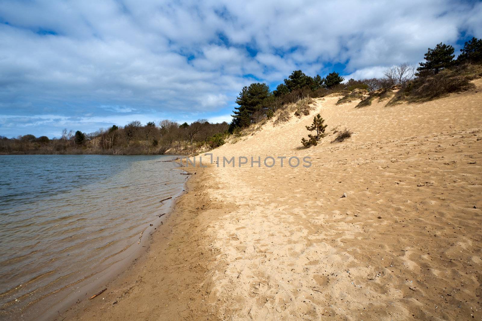 sand beach under blue sky with white clouds