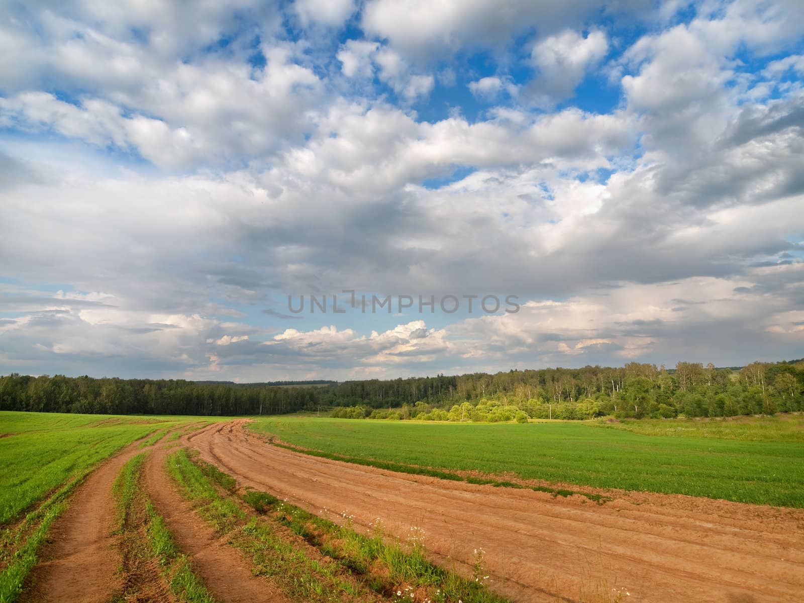 Green meadow and forest line with cloudy blue sky