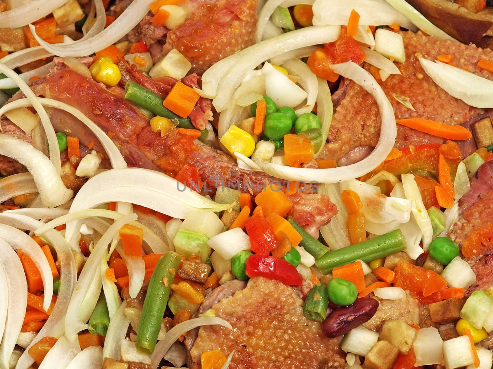 Fried duck with vegetables and onion taken closeup.