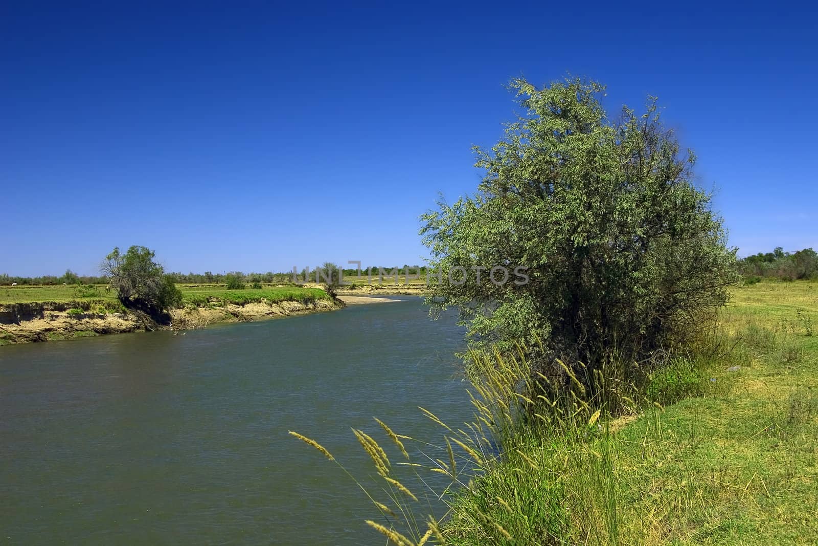 bend of the river with clean blue water and with a tree on a foreground