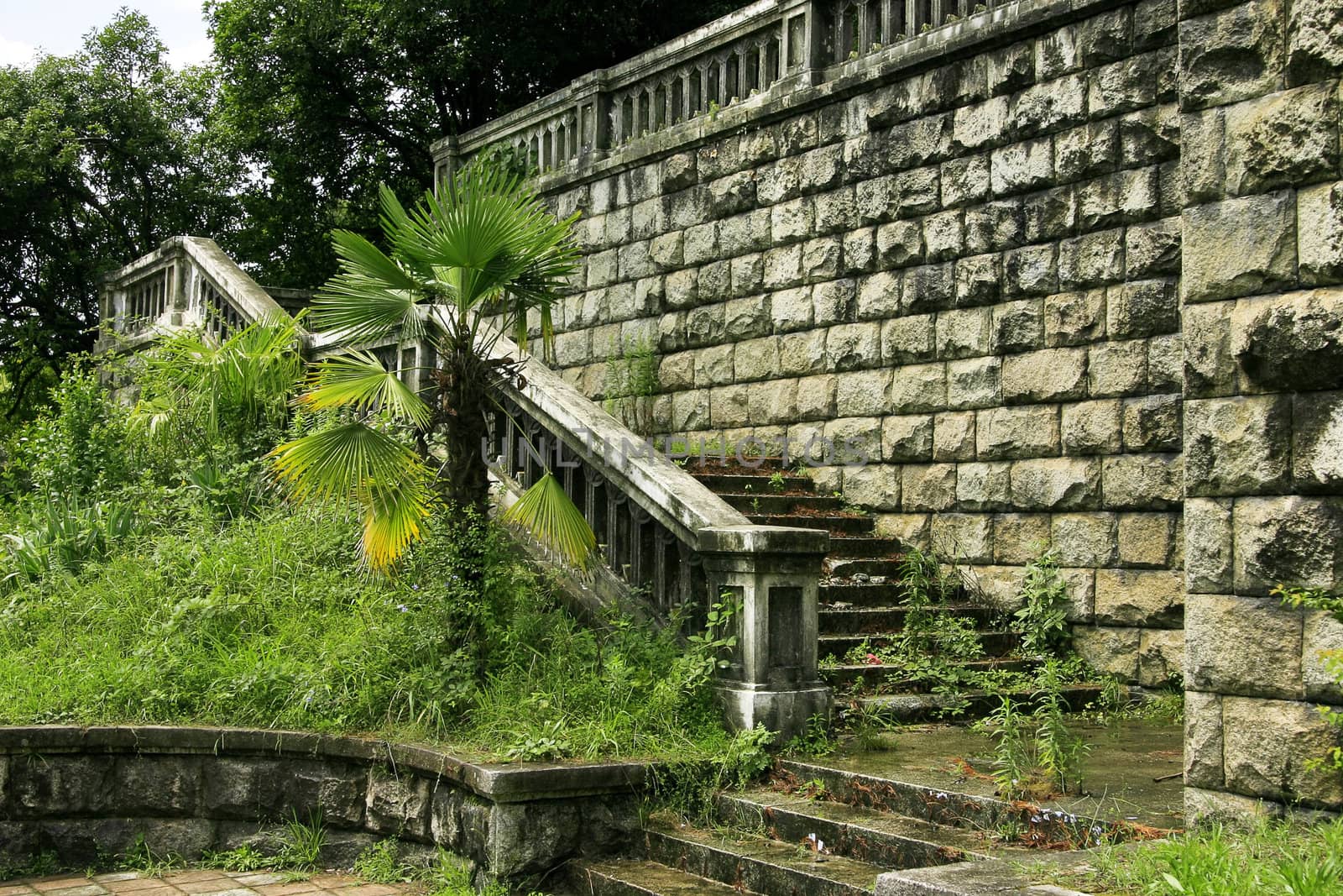 ancient stages of tumbledown bridge surrounded green vegetation