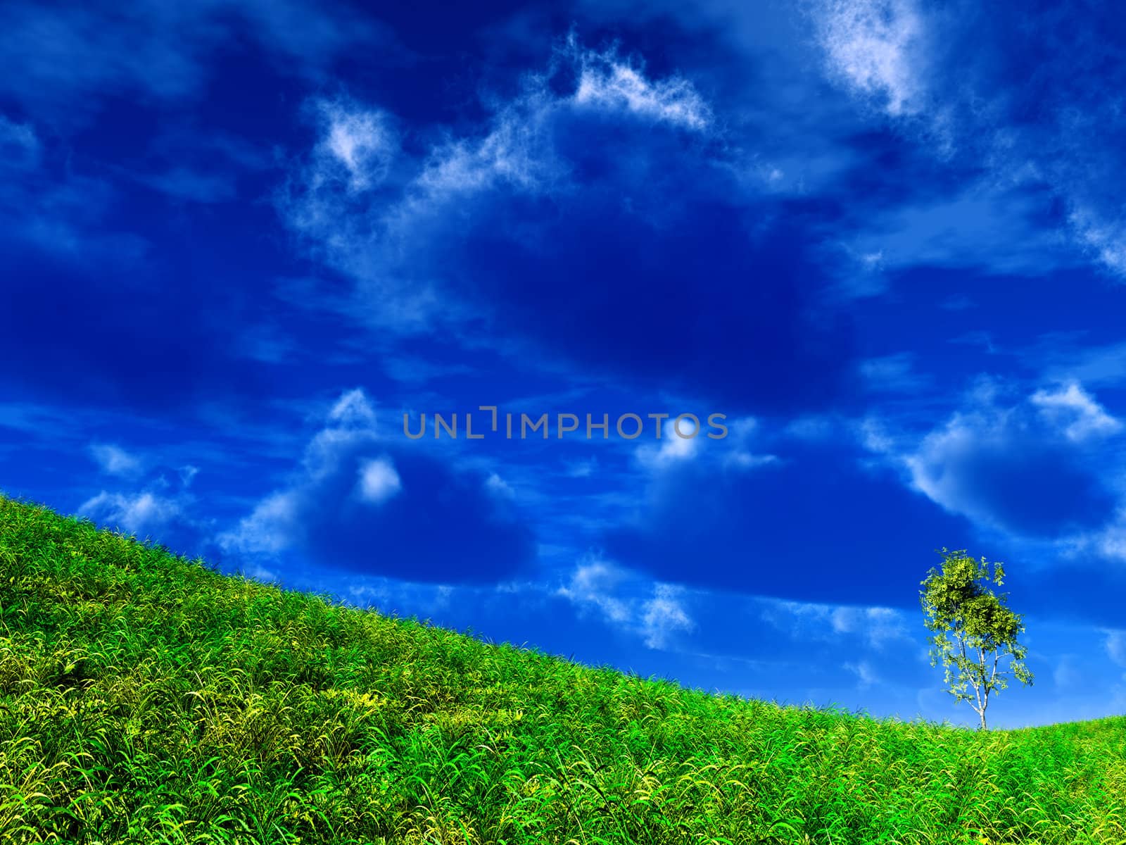 lonely standing tree on the slope of mountain on a background blue sky