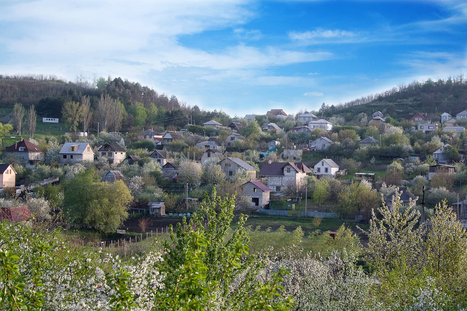 The emerging village. Constructed homes. Spring