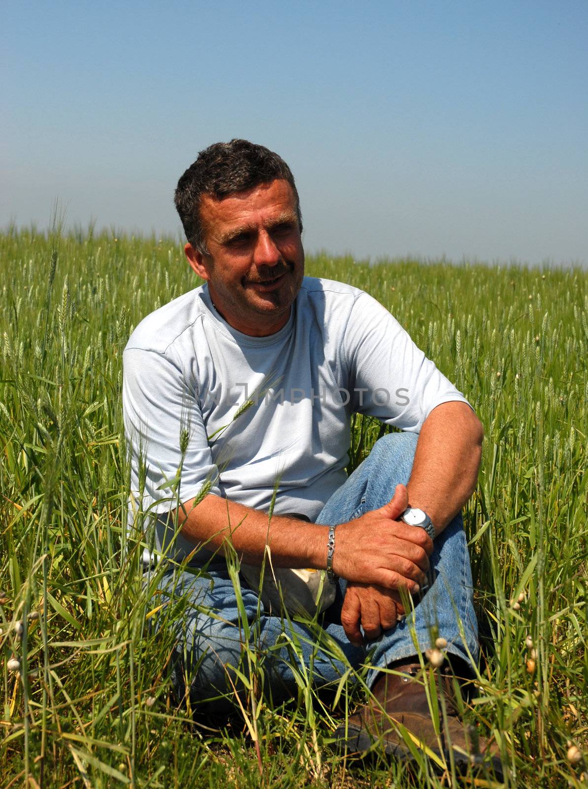 mature man sitting in a cereal field