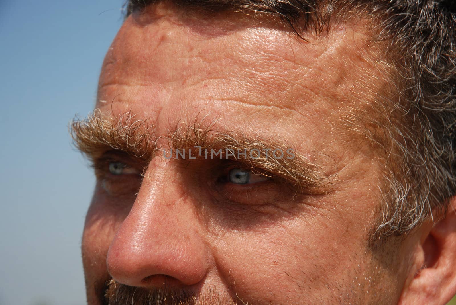 photo of beautiful blue eyes of a mature man