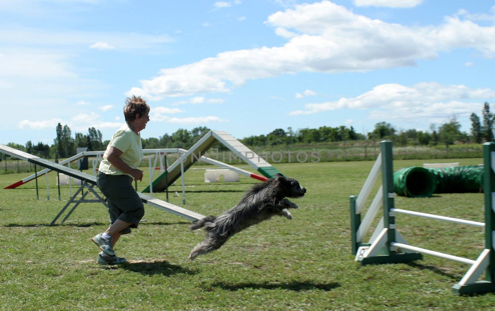 senior woman and her pyrenean sheepdog in a competition of agility
