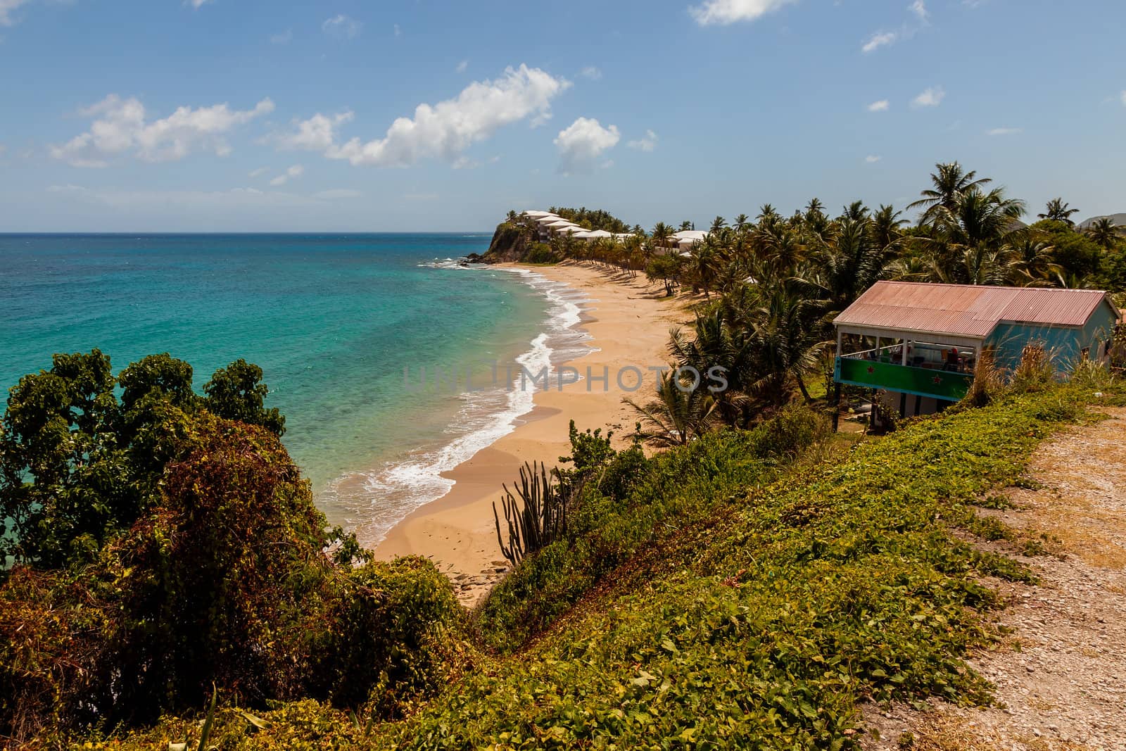Beautiful Sunny Tropical Caribbean Beach Landscape Seascape Carl by scheriton