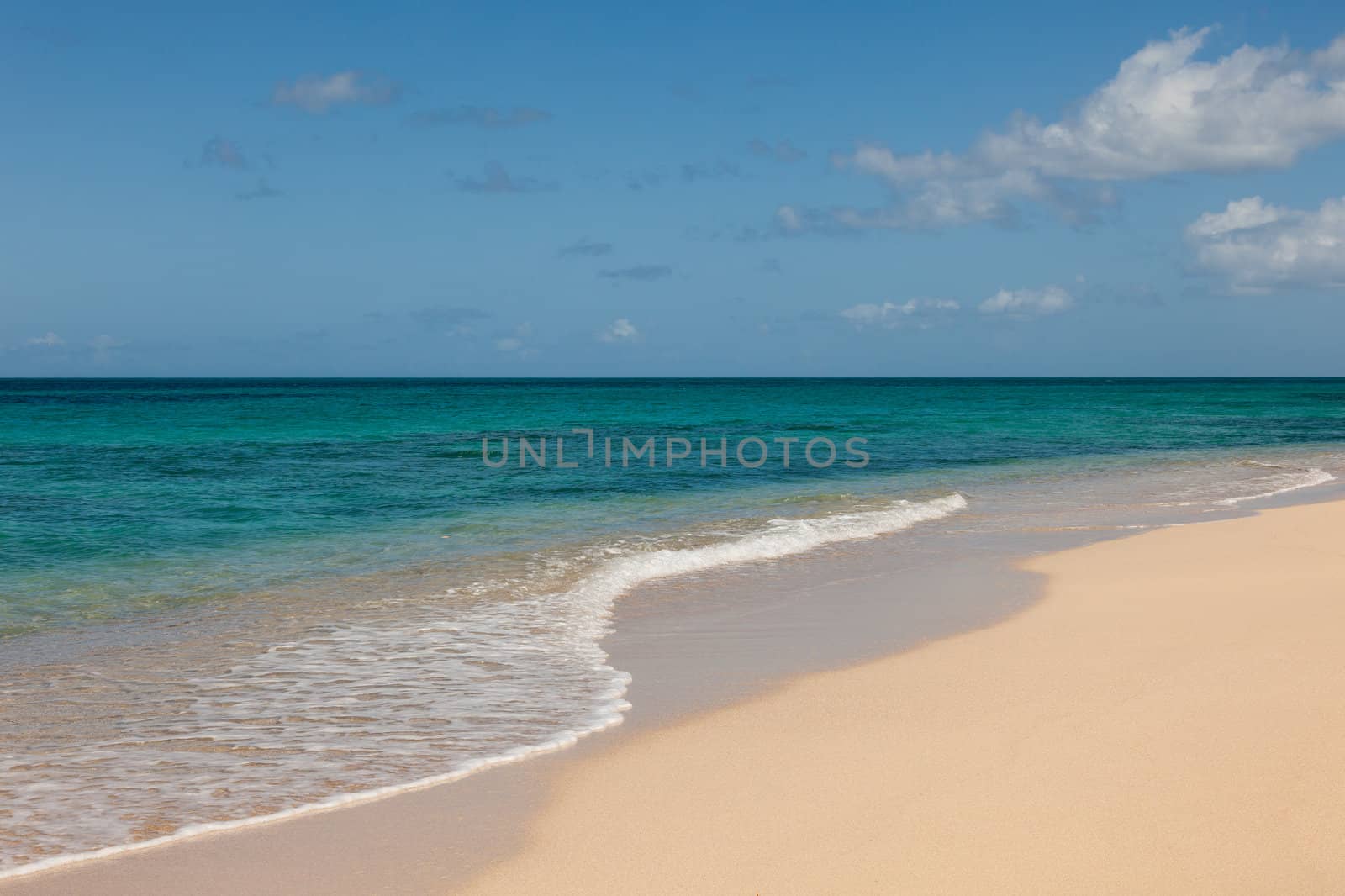 Beautiful Sandy Tropical Beach and Sunny Ocean Seascape by scheriton