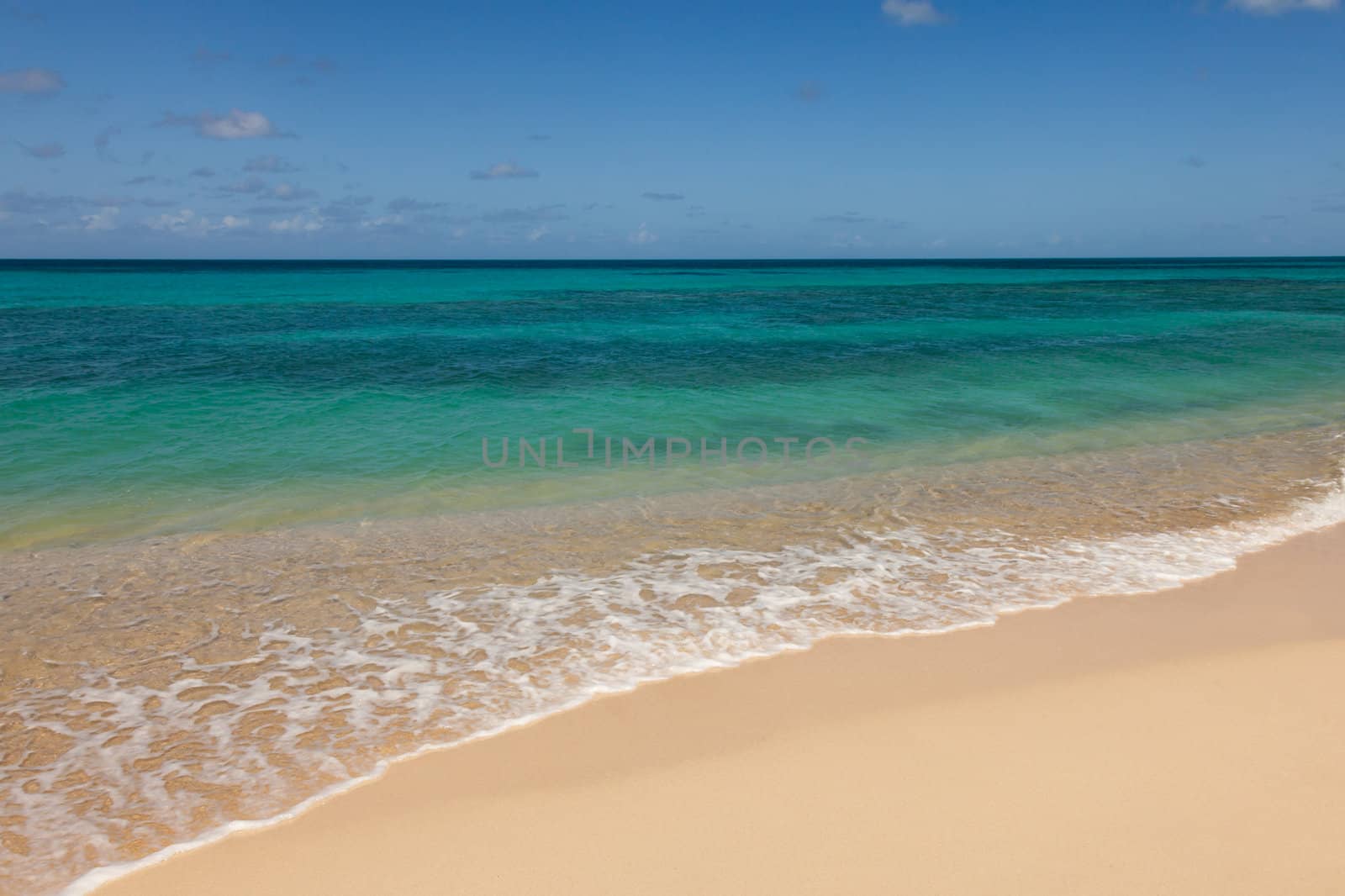 Beautiful Sandy Tropical Beach and Sunny Ocean Seascape with Copy Space