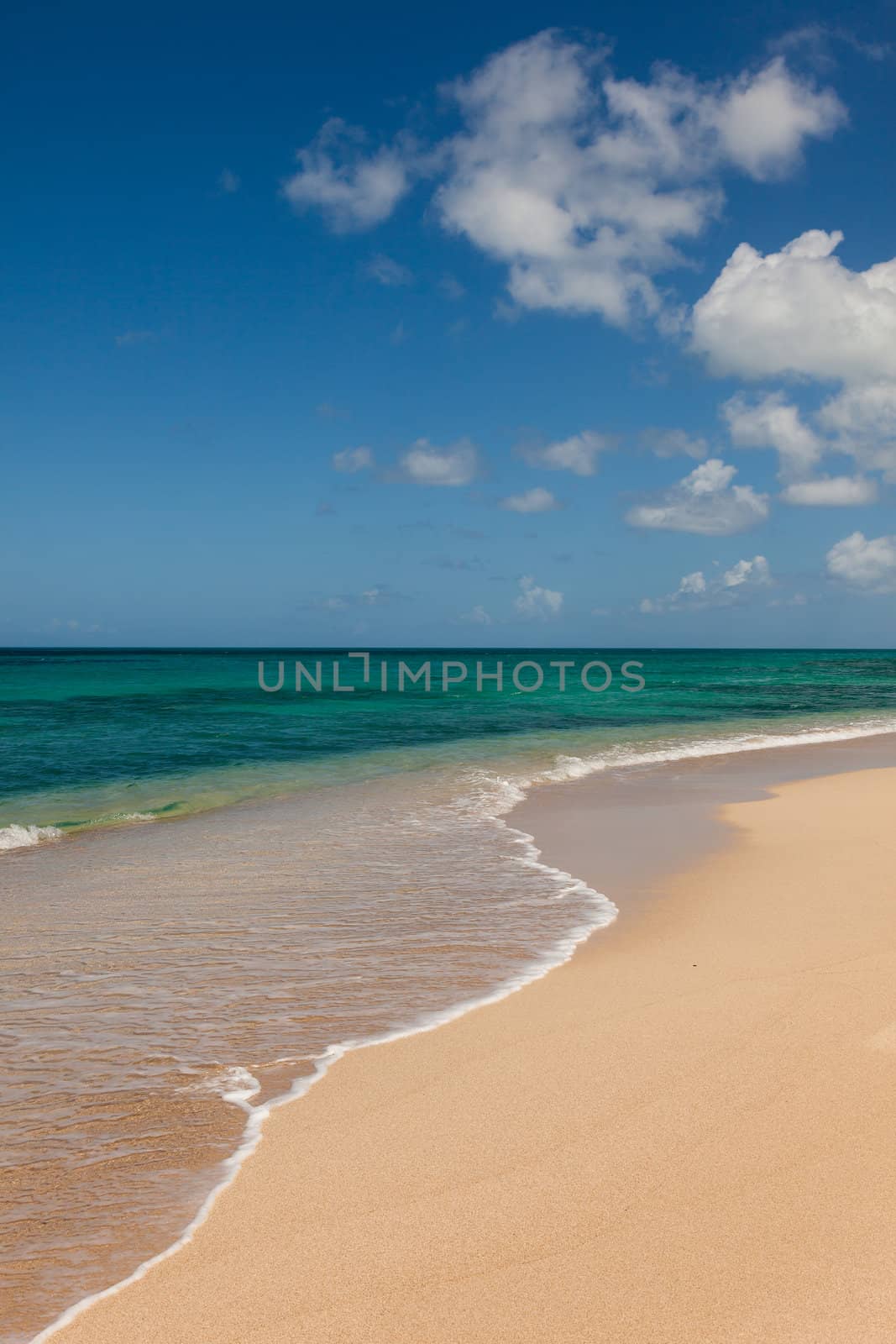 Beautiful Sandy Tropical Beach and Ocean Seascape With Blue Sky Fluffy Clouds and Copy Space
