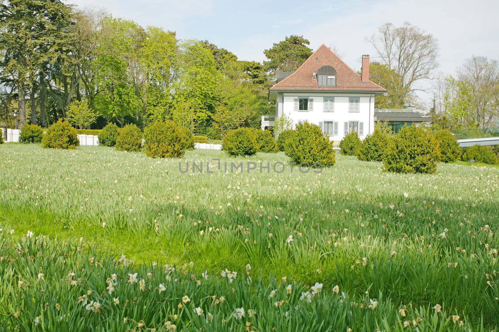 Beautiful house rounded by a green field by dacasdo