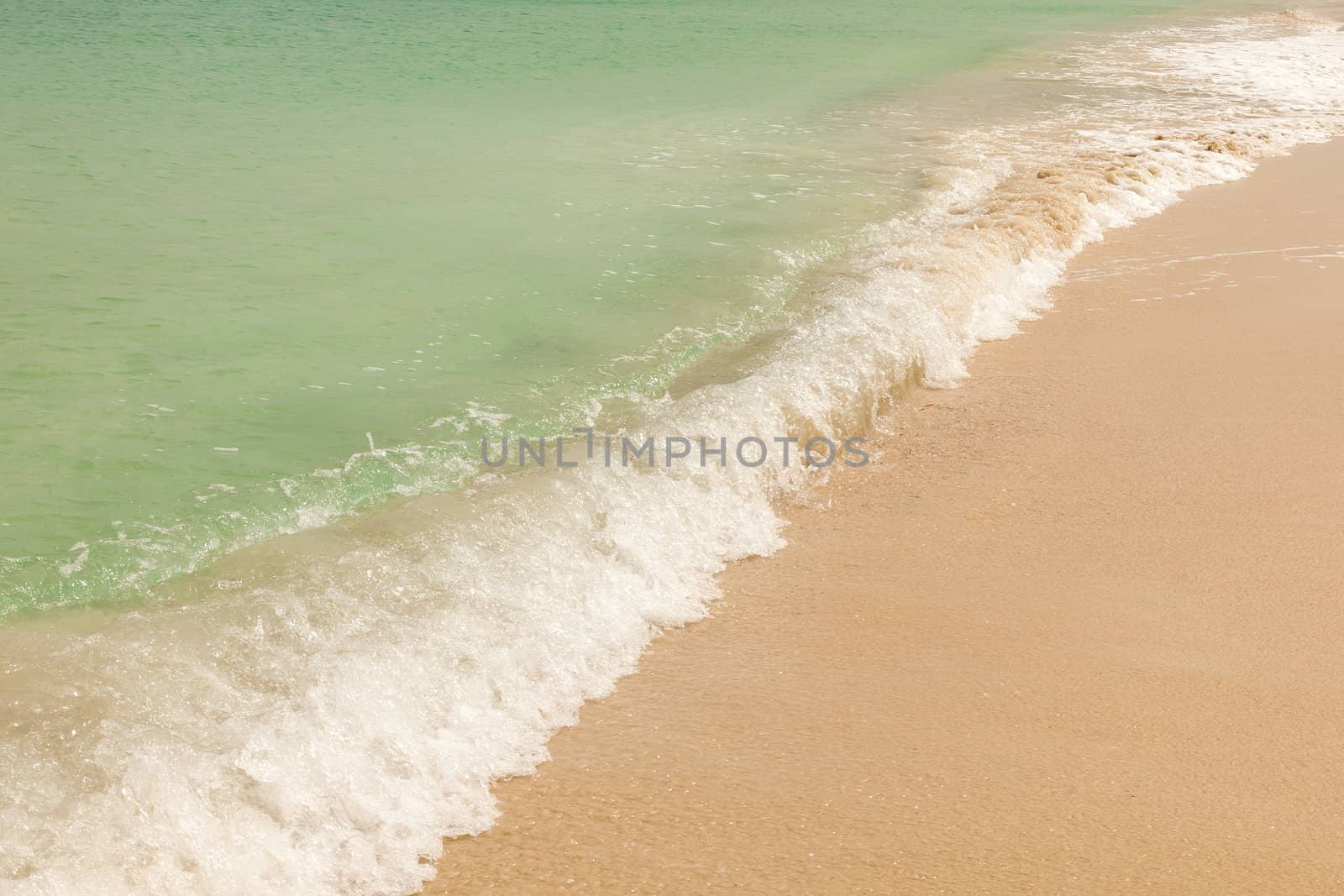 Ocean Wave on Beautiful Sandy Caribbean Beach Background