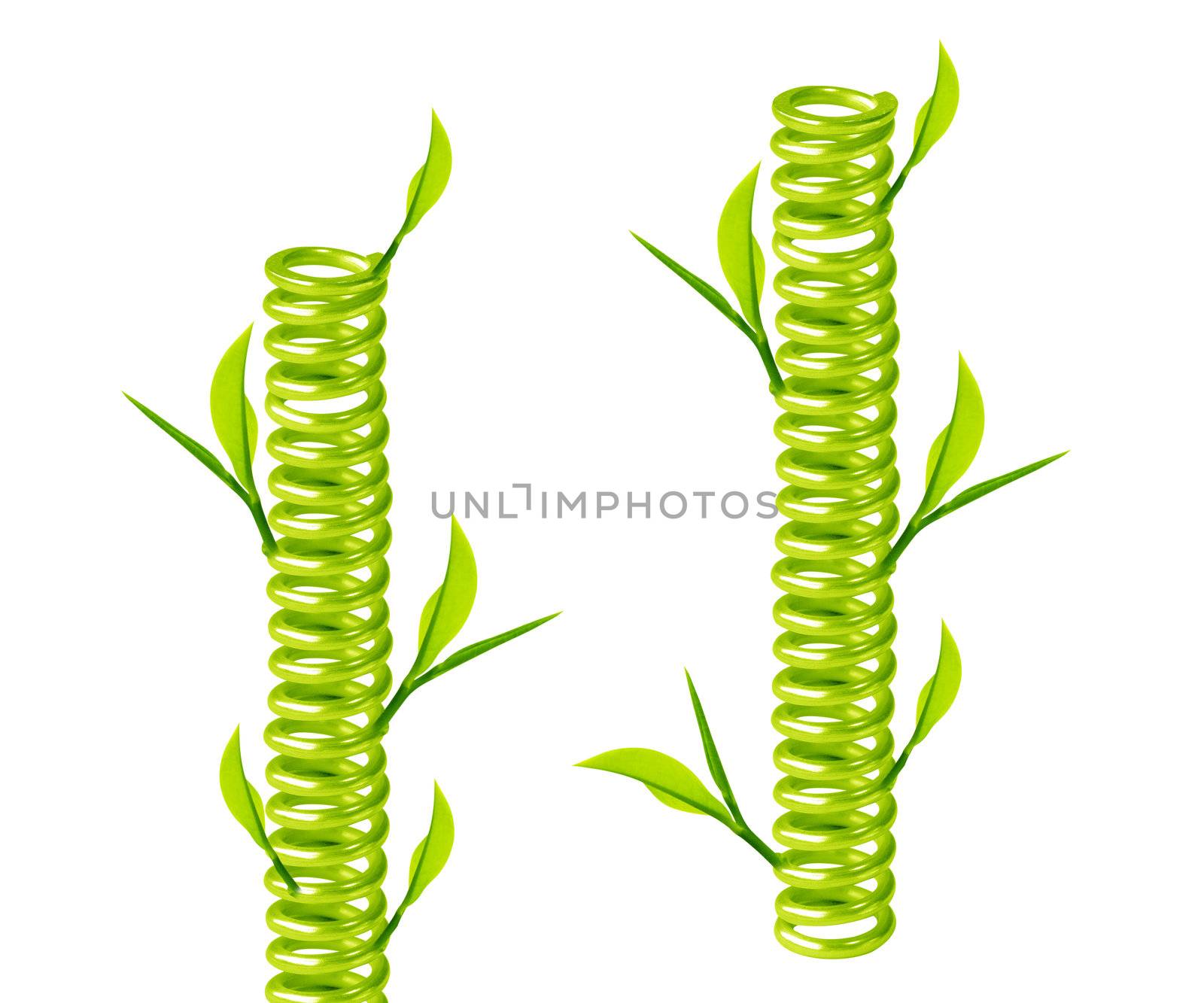 green spring with green leave around.