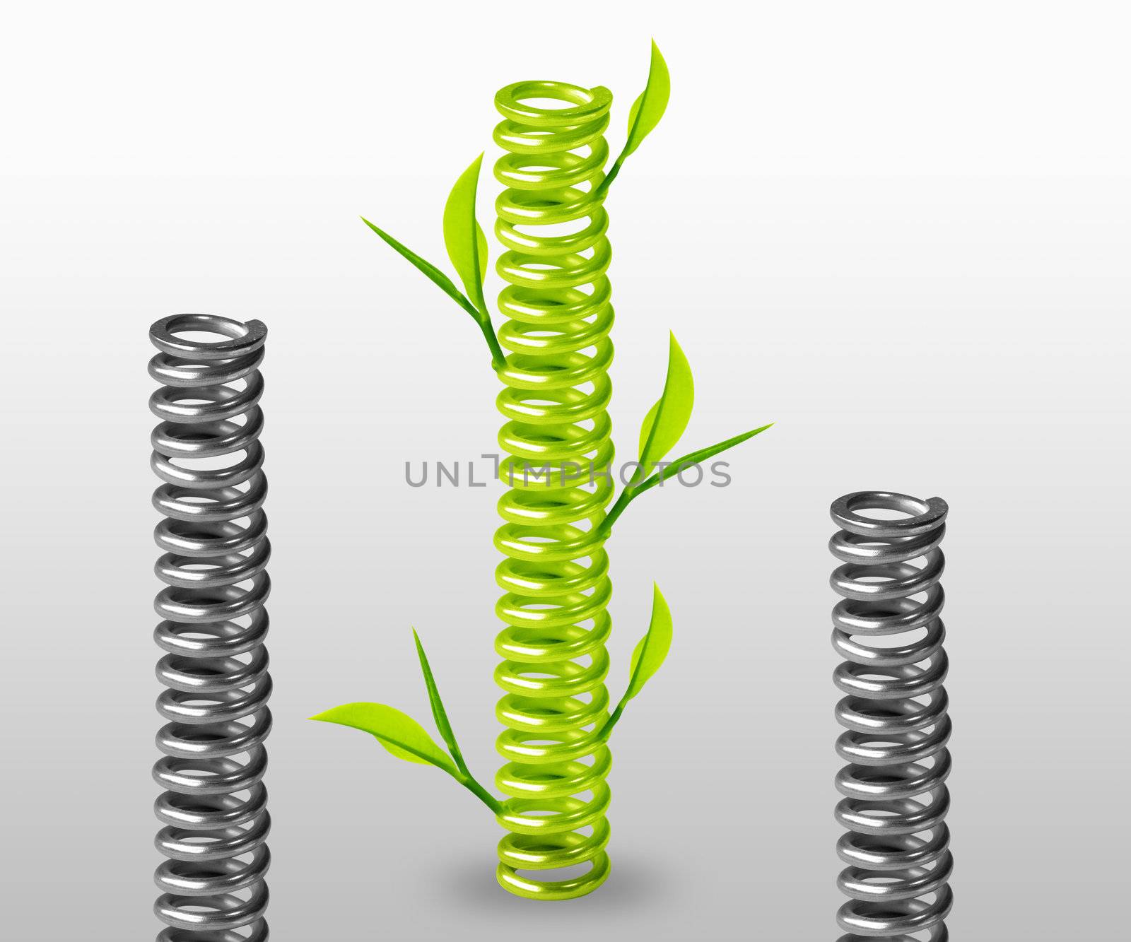 green spring with green leave around.