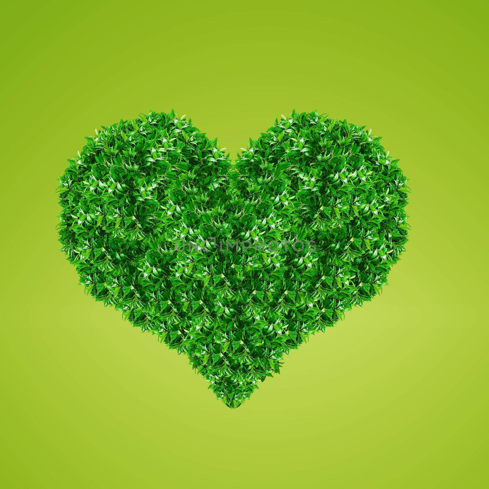 Green Heart Sign made from grass green background.