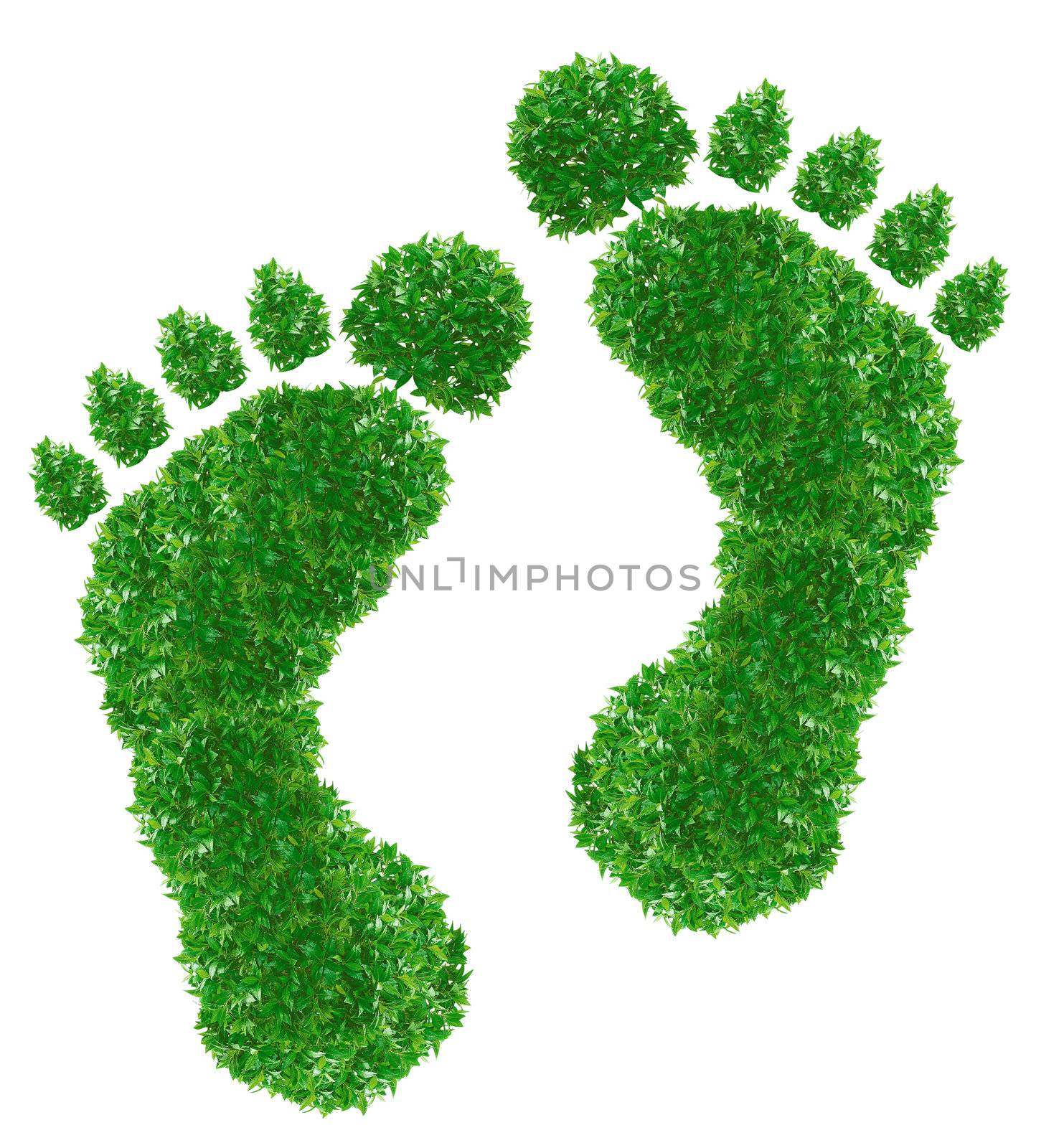 Green footprint Sign made from grass isolated on white.