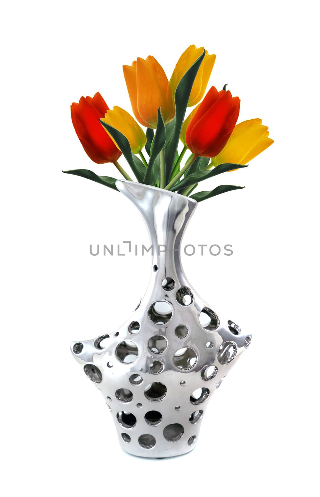 stylish and modern Silver Vase with tulips isolated on white.