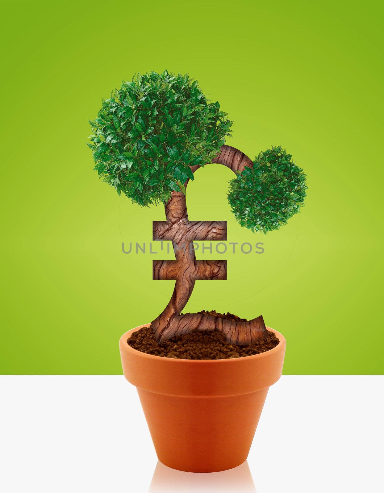 Money tree made of Lira sign, a business concept of growing business and investments