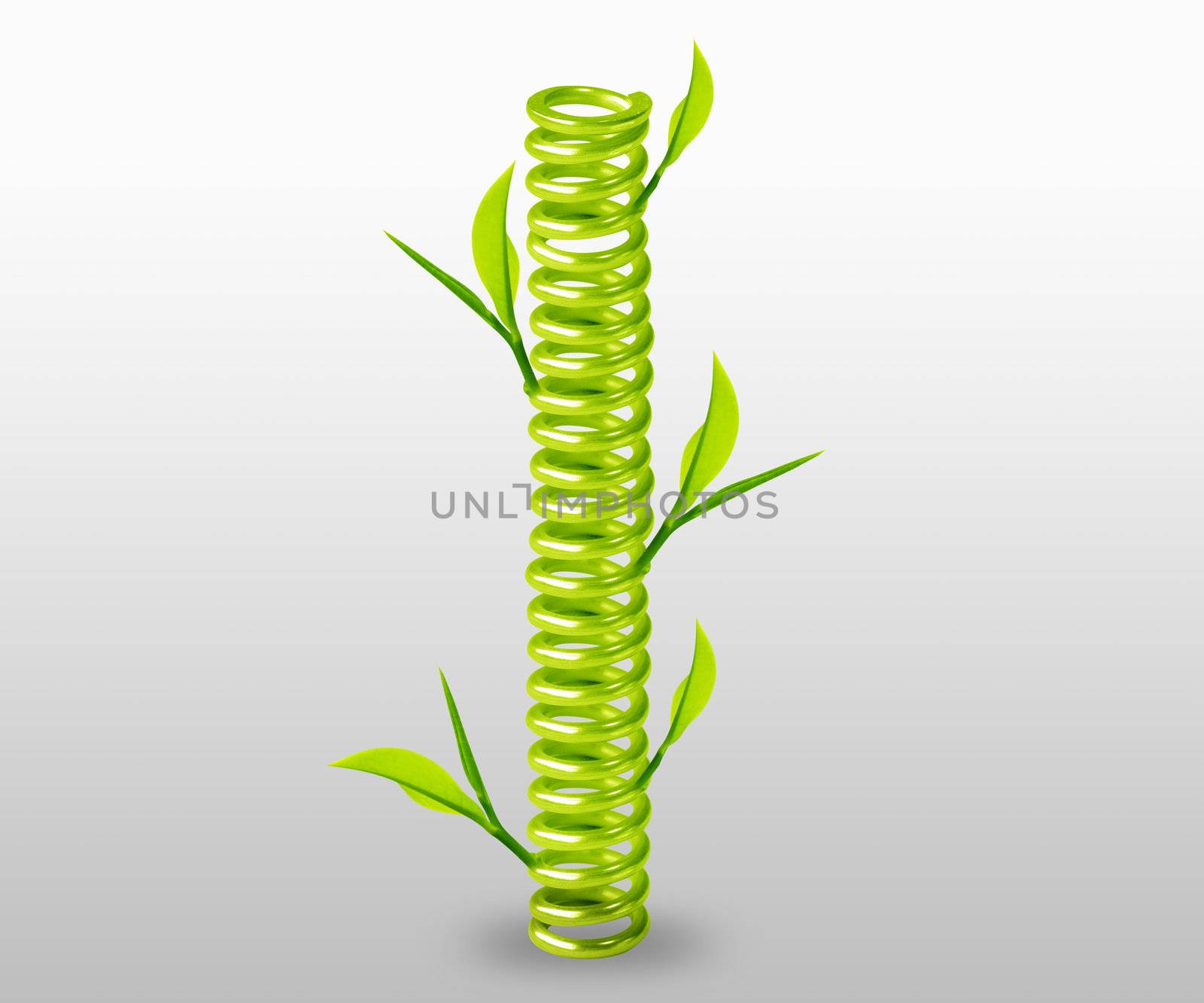 green spring with green leave around.